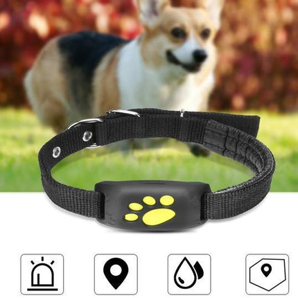 GPS Pet Tracker