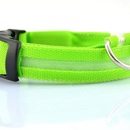 Safety Dog LED Collar