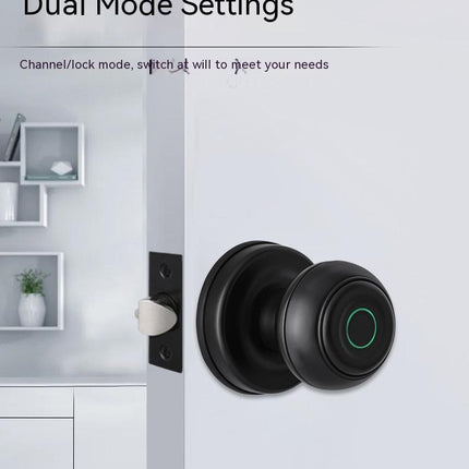 Security Door Smart Fingerprint Lock