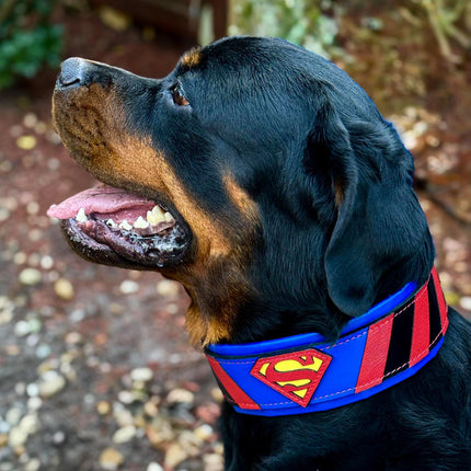 Superdog Collar-4