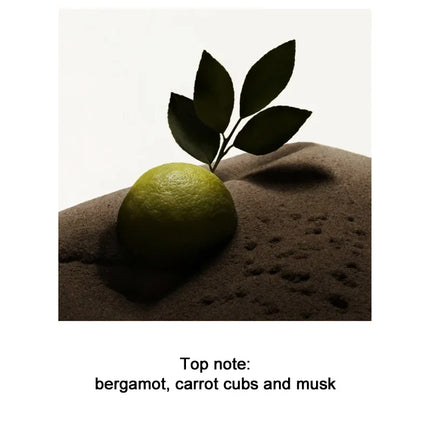 Parfum pour homme 100 ml Ebony Men Santal Parfum Spray Flirt Phéromone Romance longue durée Attirer les femmes Cadeau de Saint-Valentin