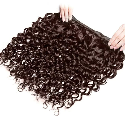 4# Human Hair Bundles Water Curly Human Hair Weave 1 3 4 Bundles Deal Remy Hair Extension for Black Women Chocolate Brown Color