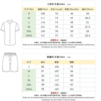 New 2025 Men's Polo Suit Fashion Men Sets Solid Summer V-neck Zipper Short Sleeve POLO Shirt+Shorts Two Pieces Men Casual Suit