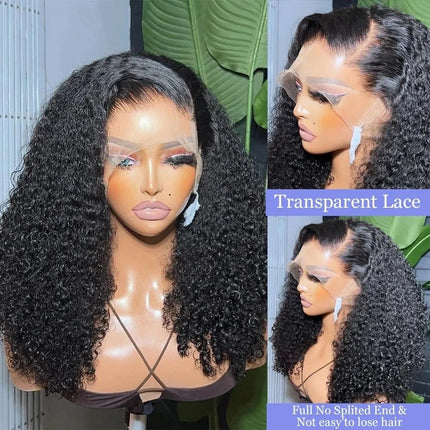 100% Malaysia Hair Kinky Curly Wigs 250 Density Ombre Double Drawn Hair Glueless Wigs 100% Human Hair 13x4 HD Lace Frontal Wigs