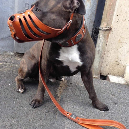 ''Maximus'' Silver Basket Muzzle-2