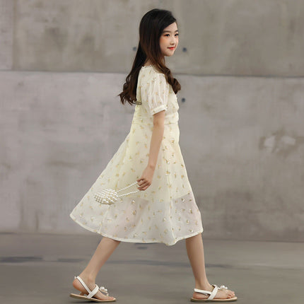 Arrival Summer Kids Girls French Style Chiffon Fashion Short Sleeves Floral Dress-3