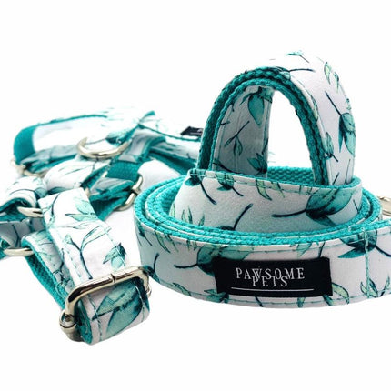 Bundle of 2 Rope Leashes Mint Green Step In Harness-3