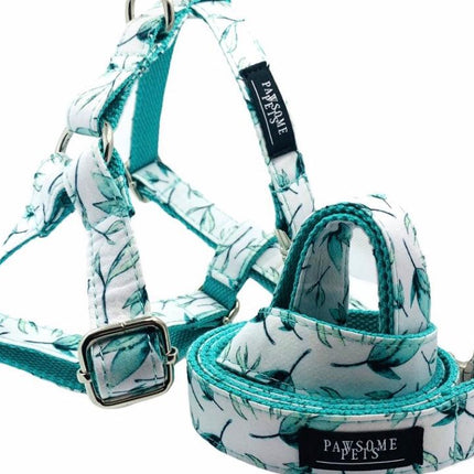 Bundle of 2 Rope Leashes Mint Green Step In Harness-0