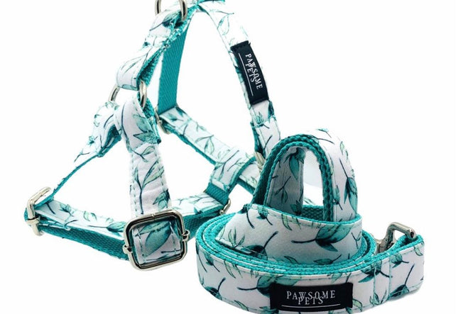 Bundle of 2 Rope Leashes Mint Green Step In Harness-0