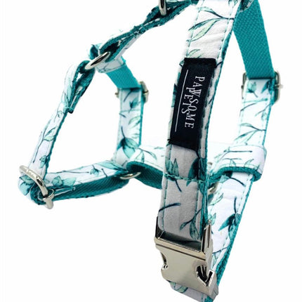 Bundle of 2 Rope Leashes Mint Green Step In Harness-1