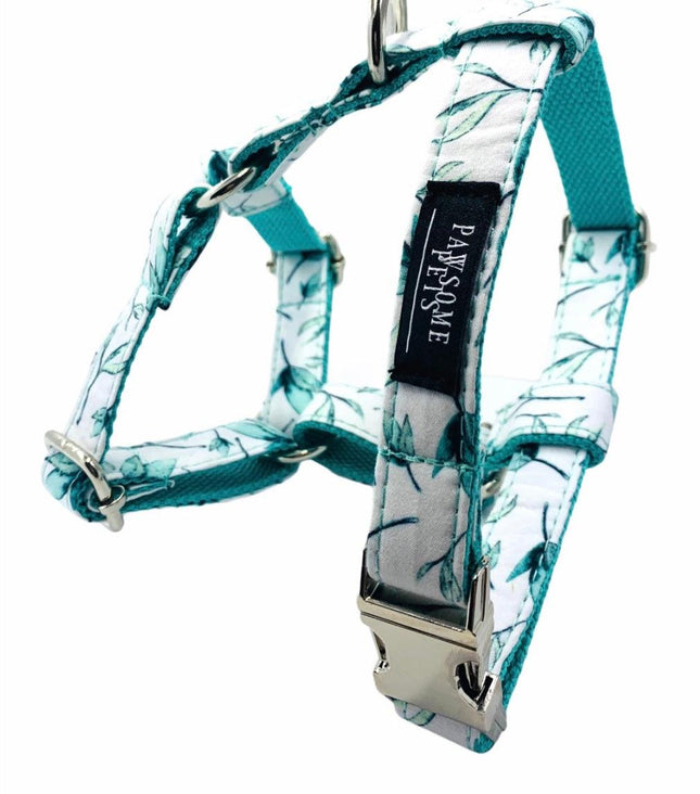 Bundle of 2 Rope Leashes Mint Green Step In Harness-1