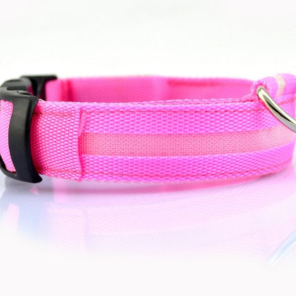 Safety Dog LED Collar