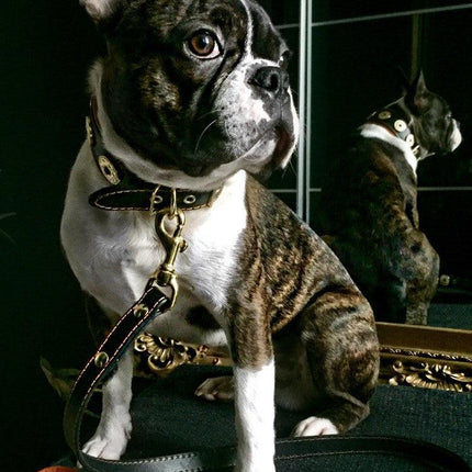 ''Bijou'' leather lead orange-1