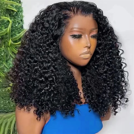 100% Malaysia Hair Kinky Curly Wigs 250 Density Ombre Double Drawn Hair Glueless Wigs 100% Human Hair 13x4 HD Lace Frontal Wigs