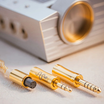 EarAcoustic Audio VSA-LTD Écouteurs intra-auriculaires filaires Écouteurs filaires à double chambre magnétique en titane pleine largeur Contrôle de résonance