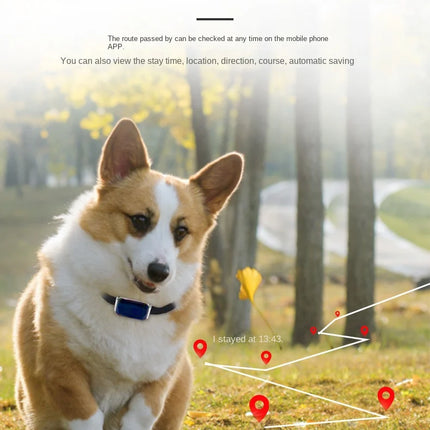 G12 Tracking Device Wearable Smart Collar Pet Tracking Locator Waterproof IP67 Anti-lost Record Multifunctional for Kids Elderly