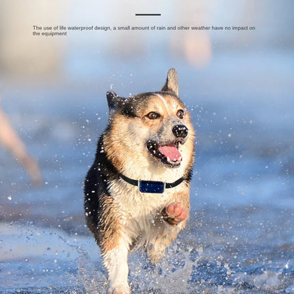 G12 Tracking Device Wearable Smart Collar Pet Tracking Locator Waterproof IP67 Anti-lost Record Multifunctional for Kids Elderly