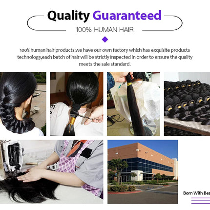 Lemoda 12A Burmese Curly Human Hair Wigs 210% Pixie Curls Spirals Wigs 13x4 HD Transparent Lace 13x6 Full Frontal Wigs For Women