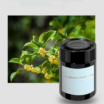 Car Aromatherapy Solid Balm Perfume in the Car with Pieces of the New Long-Lasting Fragrance Fragrance