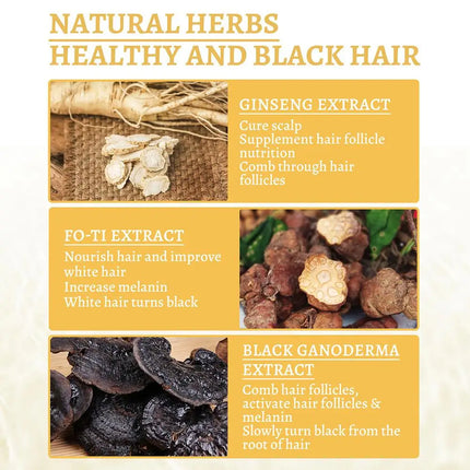 LUNVERO's Noir Nectar: The Rejuvenating Scalp & Hair Pigment Infusion