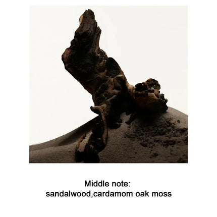 Men's Perfume 100ML Ebony Men Sandalwood Perfume Spray Flirting Pheromone Long Lasting Romance Attract Women Valentine Day Gift