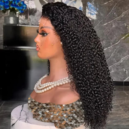 100% Malaysia Hair Kinky Curly Wigs 250 Density Ombre Double Drawn Hair Glueless Wigs 100% Human Hair 13x4 HD Lace Frontal Wigs