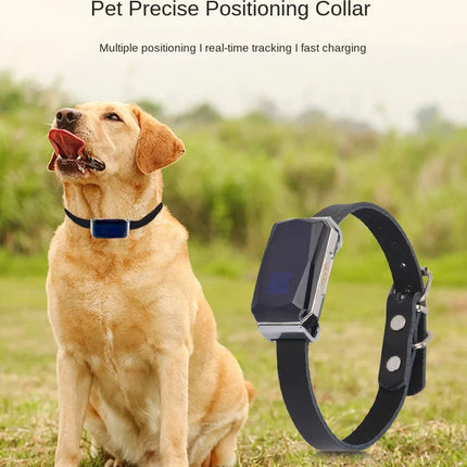 G12 Tracking Device Wearable Smart Collar Pet Tracking Locator Waterproof IP67 Anti-lost Record Multifunctional for Kids Elderly