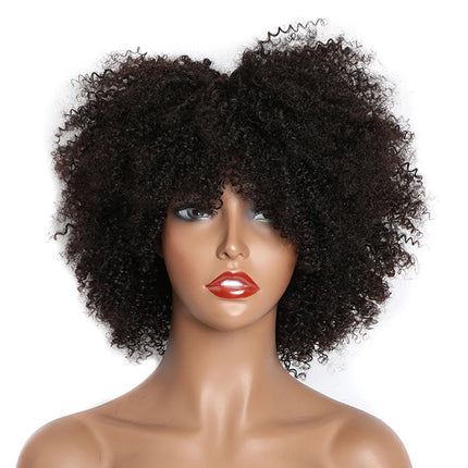 Afro Kinky Curly Wigs Full Machine Cheap Wig Sunlight Human Hair Wigs For Balck Women Remy Brazilian Short Human Wig