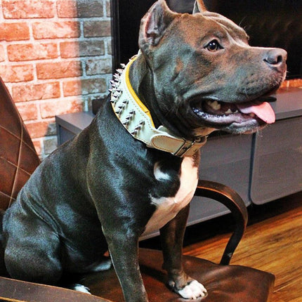 "Silver Giant" collar White-1